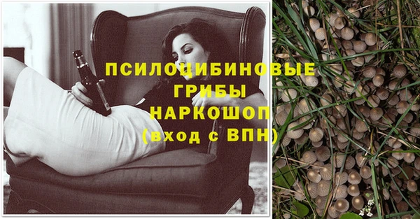 каннабис Алзамай