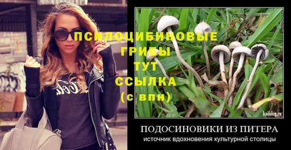 экстази Алексин