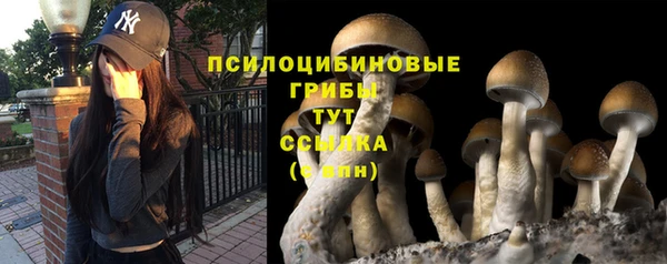 СК Покачи