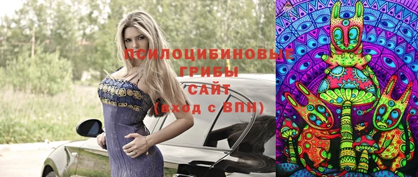 каннабис Алзамай