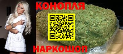 стафф Камышлов
