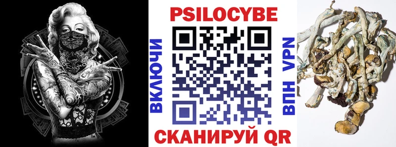 Галлюциногенные грибы Psilocybe  Саранск 