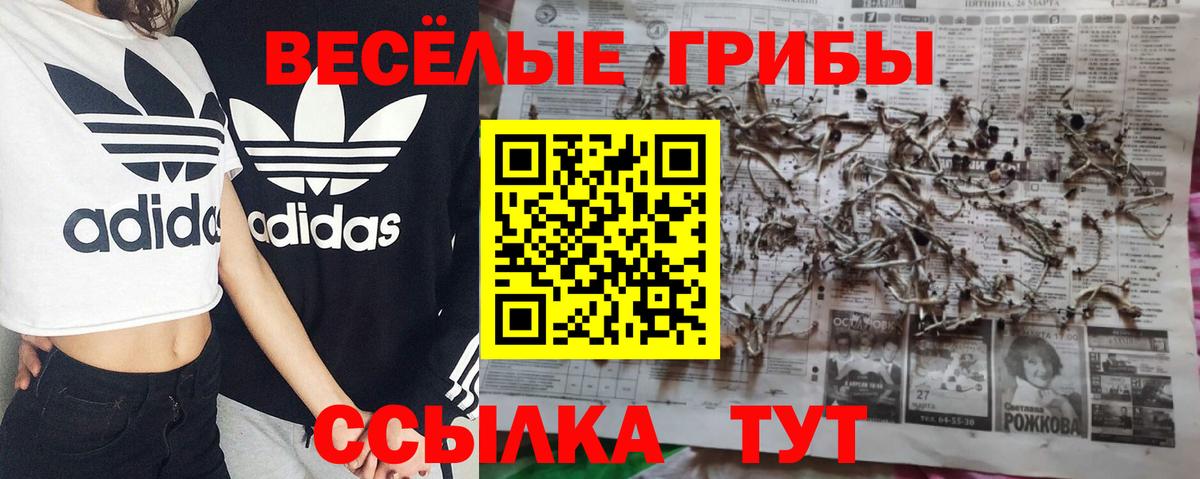 Саранск  Псилоцибиновые грибы прущие грибы  Галлюциногенные грибы мицелий  Вход с VPN 
